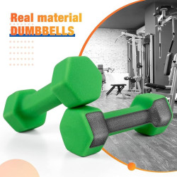 Pair of Hex Dumbbells 4 LBS