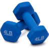 Pair of Hex Dumbbells 4 LBS