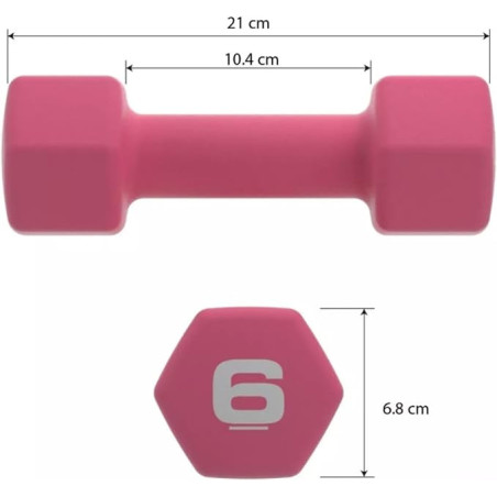 Pair of Hex Dumbbells 6 LBS