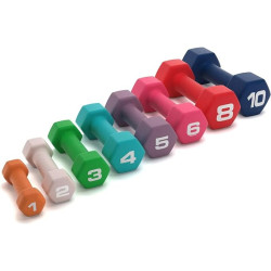 Pair of Hex Dumbbells 6 LBS